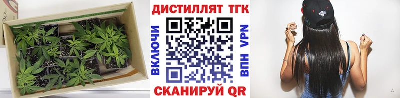 Купить  Борисоглебск  Дистиллят ТГК жижа 